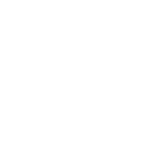 icon1
