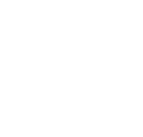 icon2