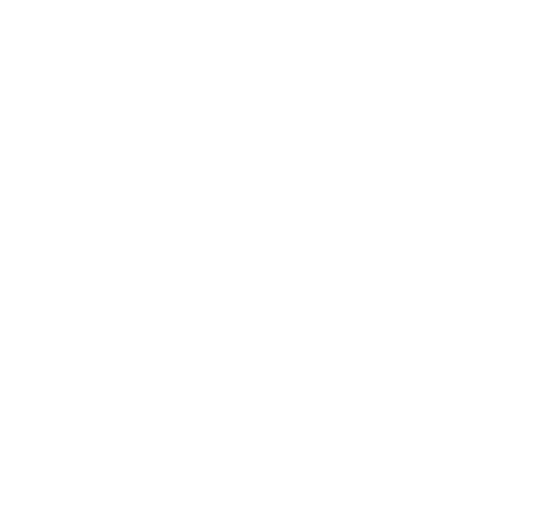 icon4